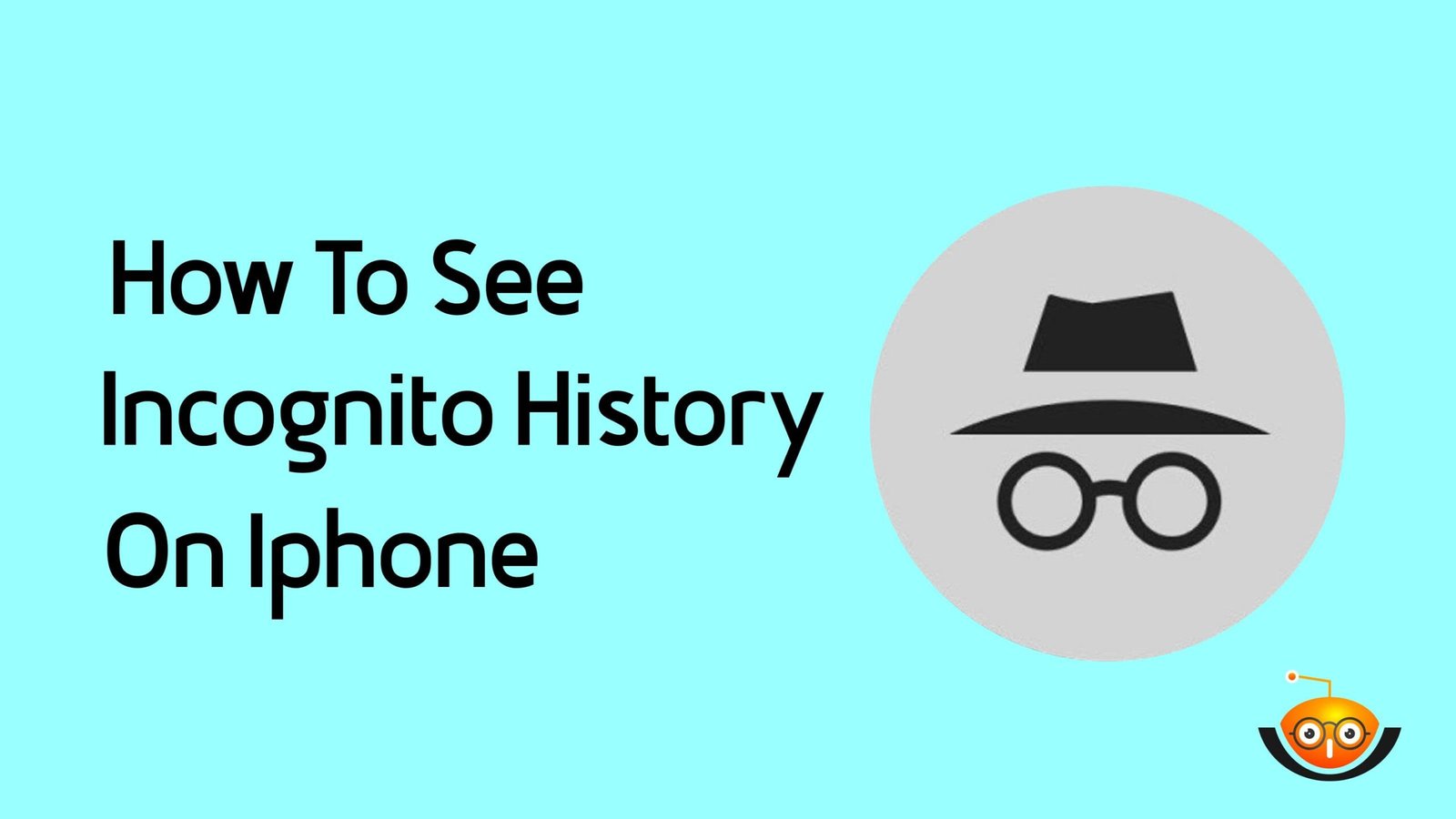 View iPhone Incognito History: Expert Tips-technious.com